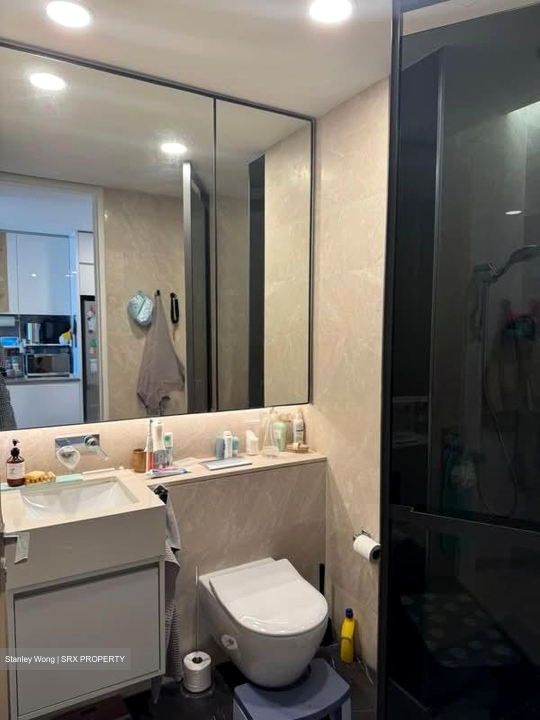 Amber Park (D15), Condominium #566276991